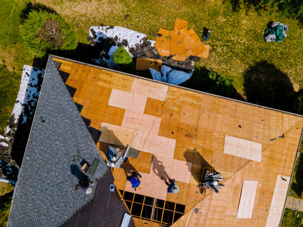 Professional Roofing Contractor in Lavalette, WV
